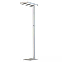 LED Office Pro standing luminaire Up+Down with sensor, fixed optics, 40+40W, UGR<19, neutral white, dim-control, CH-Stecker