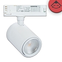 LED 3-Phasen Schienenstrahler MEAT, fokussierbar 20�-70�, 34W 1900K 2400lm, kardanisch, schaltbar, wei� matt