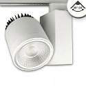 3-phase spot FOCUS ADJUST 36W swivelling, rotatable, DALI controllable, focusable IP20, white dimmable