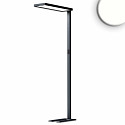 floor lamp OFFICE PRO UGR < 19 IP40, black dimmable