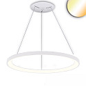Lampe suspendue ORBIT 780 CCT Switch IP20, blanche gradable