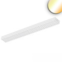 light strip 120X20CM COLORSWITCH UGR < 19, with lens optics IP40, white dimmable