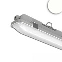 Lampada impermeabile SL POWERSWITCH DALI - 120CM / 24-40W controllabile da DALI, 3 poli, multipower IP66, grigio dimmerabile