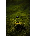 Konstsmide Outdoor LED Akku-Tischleuchte LILLE MINI, IP54, 2200 / 2700K, USB-Ladeschale, dimmbar, schwarz