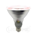Pianta lampada riflettore luce PT SPECIAL PAR38 E27 12W 