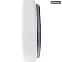 Megatron Luminaire de surface DECKO FL,AT Ø 35CM plat, CCT Switch, commutable, multipower IP54, blanche 