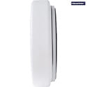 Megatron surface luminaire DECKO FL,AT DALI2 Ø 40CM DALI controllable, CCT Switch, multipower IP54, white dimmable
