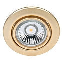 Downlight C 3830 pivotant IP20, or mat gradable