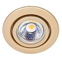 Downlight C 3840 pivotant IP20, or mat gradable