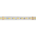 LED Strip SMD 2835 SCCT MP, 24V DC, 140 LED/m, 6.5-24W/m (Multi) 3000/3500/4000K 120, CRI80, dimmbar, 500cm / 1.2cm