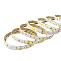 nobil LED Strip SMD 2835 SCCT MP, 24V DC, 140 LED/m, 6.5-24W/m (Multi) 3000/3500/4000K 120, CRI80, dimmbar, 500cm / 1.2cm