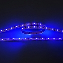 LED Strip Flexible LED SMD 3528, 12V, 4.8W/m, BLAU, 200cm, dimmbar