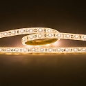 Outdoor LED Strip Flexible LED SMD 3528, IP67, 12V, 4.8W/m, 3000K, 200cm, dimmbar