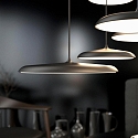 design for the people by Nordlux pendant luminaire ARTIST 25 IP20, black matt dimmable