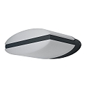 outdoor wall luminaire ENDURA STYLE ELLIPSE up / down, elliptisk, switchable IP44, dark grey 