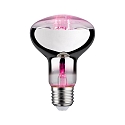 Lampadina a riflettore R80 GROW GREEN LED R80 E27 6,5W 200lm 1300K 60 CRI >30 