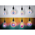Paulmann Ampoules dcoratives  filament FANTASTIC COLORS INNER TUBE LED G95 E27 5W 470lm 2700K CRI >80 gradable