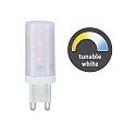Paulmann plug-in socket lamp STS LED tunable white G9 4W 300lm 2200 - 6500K CRI >80 dimmable