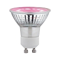 Lampadina con riflettore a LED PLANT GU10 3,5W 95lm 1100K 110� 