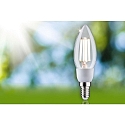 Paulmann Ampoule  filament forme bougie ECO-LINE E14 2,5W 525lm 4000K CRI 80-89 
