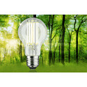 Paulmann LED Filament Birnenform ECO-LINE AGL, E27, 5W 3000K 1055lm, schaltbar, klar