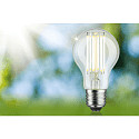 Paulmann LED Filament Birnenform ECO-LINE AGL, E27, 5W 3000K 1055lm, schaltbar, klar