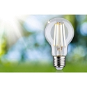 Paulmann LED Filament Birnenform ECO-LINE AGL, E27, 7.2W 3000K 1521lm, schaltbar, klar