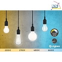 Paulmann LED ZigBee Filament Globe Lamp G95 TW, 230V, E27, 7W 2200-6500K 806lm, dimmable, opal