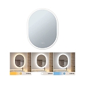 Paulmann mirror with lighting MIRRA IP44, mat, white dimmable