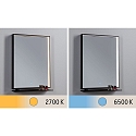 Paulmann mirror with lighting MIRO IP44, mat, black 