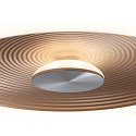 Paulmann wall and ceiling luminaire VOLEA � 40CM direct / indirect IP44, gold, black, silver dimmable