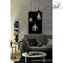 Paulmann Luci a sospesione NEORDIC NORDIN E27 IP20, Rame, Opaco, Nero dimmerabile