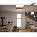 Paulmann LED Aufbau-Panel VELORA DIM, 59.5cm, 230V, 29W 3000K 2550lm, dimmbar, Weiß matt