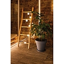 Paulmann Outdoor LED-Lichterkette MOBILE LAMPION, IP44, mit 7 Lampions, 5V USB Akku-Betrieb / optional Powerbank (exkl.), 3000K