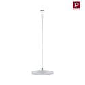 Paulmann 1-phase pendant luminaire HILDOR URail IP20, white dimmable