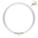 fluorescent lamp TL5-C CIRCULAR PRO C-T5 2GX13 3000K CRI 80-89 dimmable