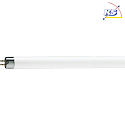 fluorescent lamp TL 33-640 HQ T5 G5 4100K CRI 60-69 dimmable