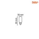 RADIUM Lampe de four HEAT UP TO 300°C terne E14 25W 140lm 2700K 360° CRI 100