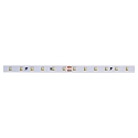 Flex.LED Strip VARDAflex QUANTUM PLUS, 5m roll, 24V, indoor, 4000K, IP20