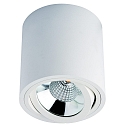 surface luminaire MELIMAR COB round, swivelling IP20, transparent, white, lacquered