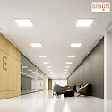 SIGOR LED Aufbau-Panel FLED für Bildschirmarbeitsplätze (BAP), 230V, 62 x 62cm, UGR<19, weiß, 40W 4000K 3200lm 120°