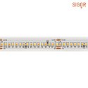 LED Strip TUNABLE WHITE