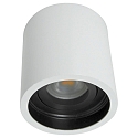 Steinhauer Downlight PLITE SPOT cylindrique, rigide, version pour montage en surface GU10 IP20, blanche gradable