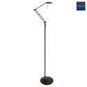 Steinhauer Steinhauer Floor lamp ZODIAC LED, 1 flame, black