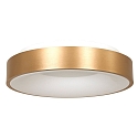 ceiling luminaire RINGLEDE -  48CM large, round, direct / indirect IP20, gold dimmable