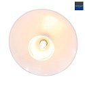 Steinhauer Luci a sospesione TALLERKEN 1-Lampadina G9 IP20, Acciaio spazzolato dimmerabile