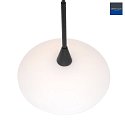 Steinhauer Luminaire à suspension TALLERKEN à 1 flamme G9 IP20, noir mat gradable