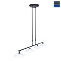 pendant luminaire TALLERKEN 4 flames, with switch, adjustable G9 IP20, black matt dimmable
