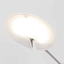 LED Stehleuchte DAPHNE, 1-flammig, 7W, 2700-4000K, 700lm, IP20, dimmbar, stahl
