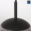 Steinhauer pendant luminaire BOLLIQUE 6 flames E27 IP20, black dimmable
